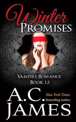 Winter Promises book cover