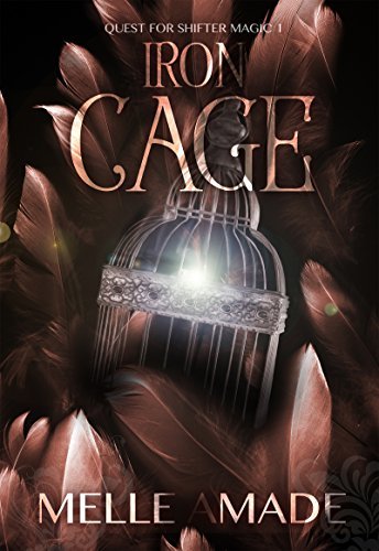Iron Cage book cover