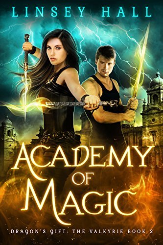 Dragon's Gift: The Valkyrie book cover 2