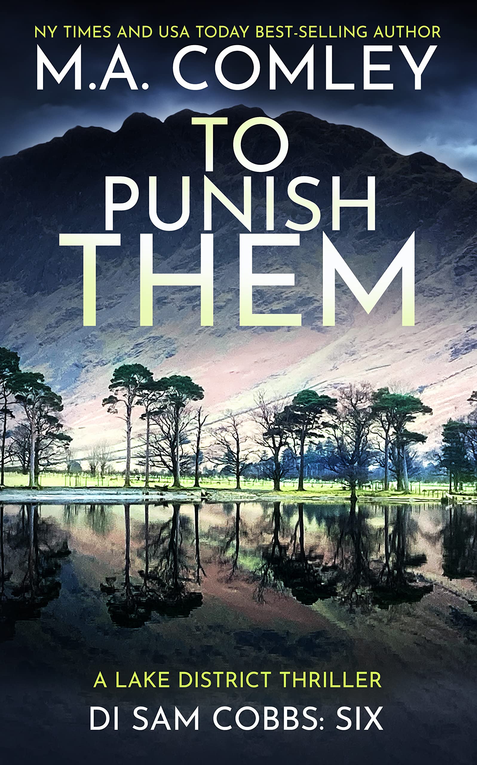 To Punish Them book cover