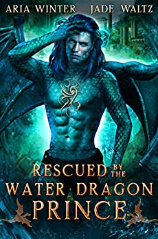 Elemental Dragon Warriors book cover 3