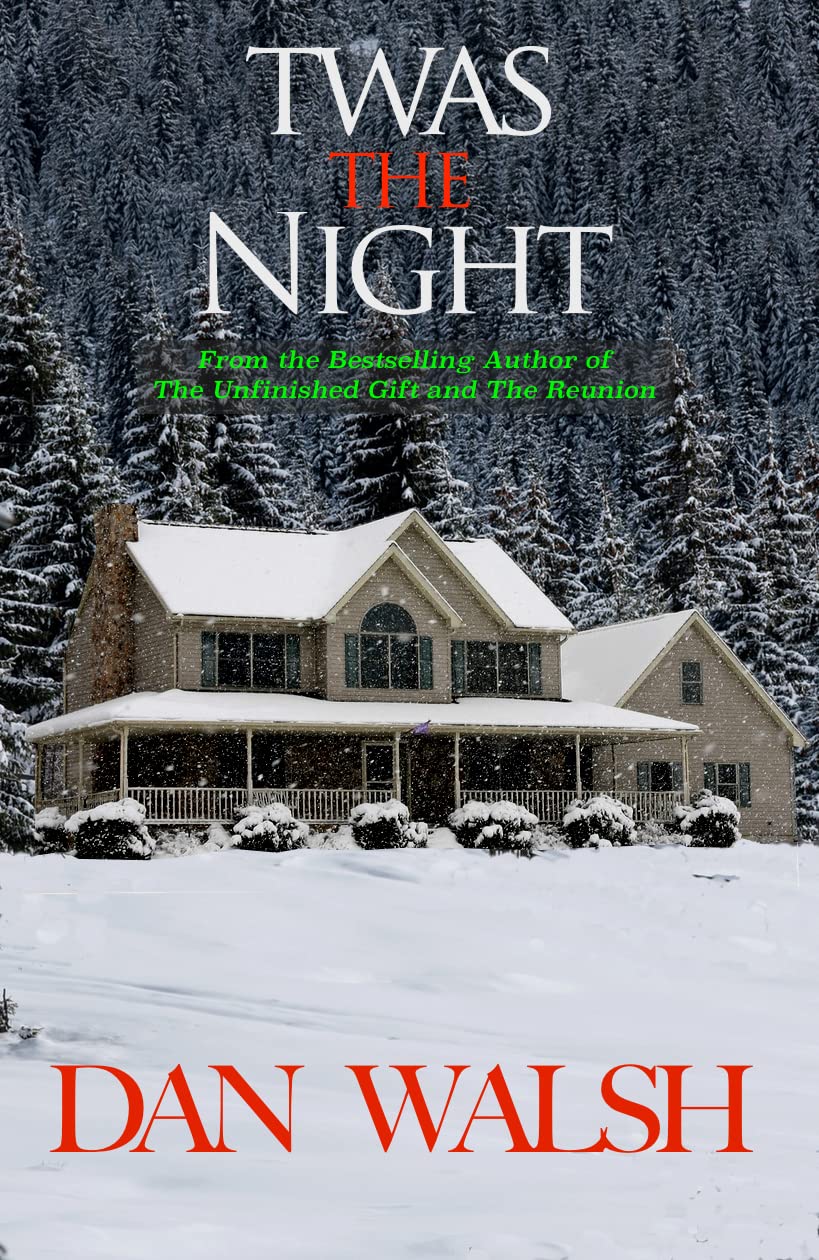 Twas The Night book cover