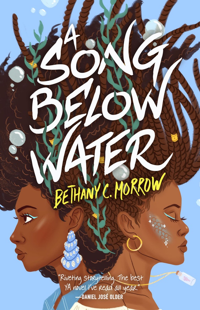 A Song Below Water book cover 1