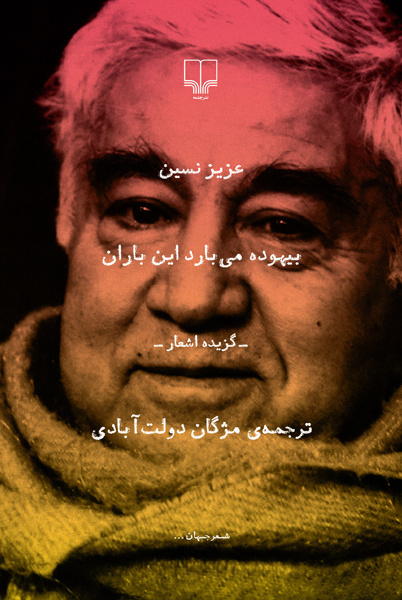 بیهوده می‌بارد این باران book cover