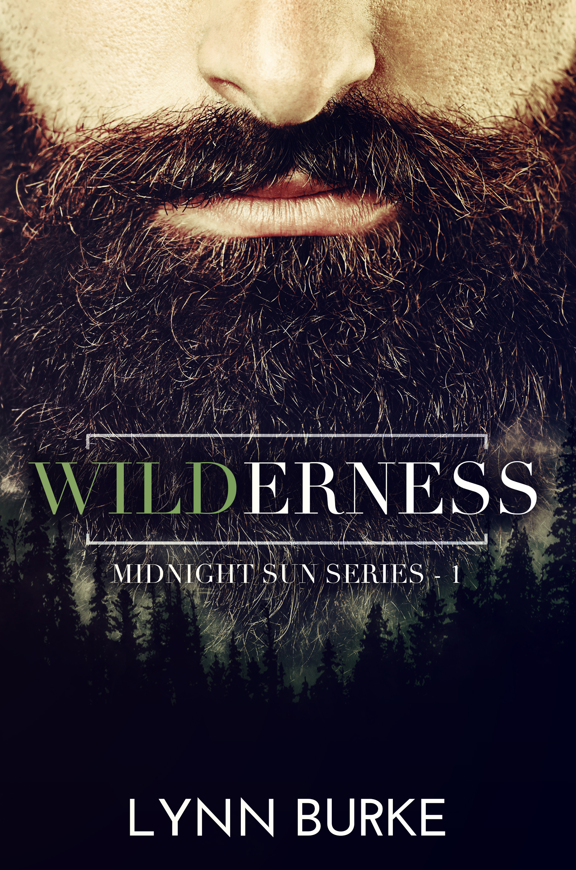 Midnight Sun book cover 1
