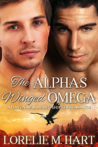 Couples of Haven book cover 1