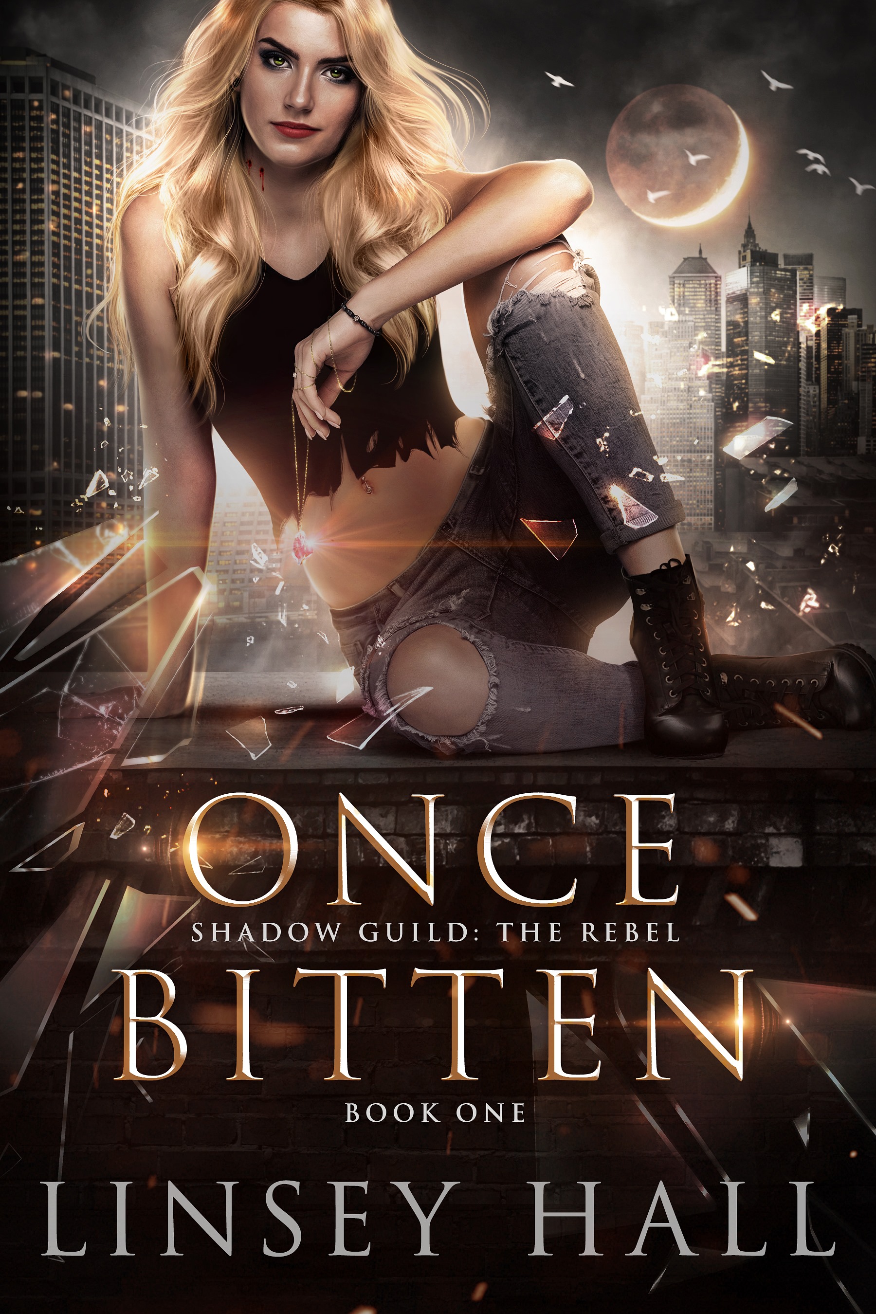 Shadow Guild Universe book cover 1