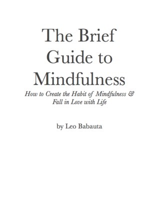 Brief Guide to Mindfulness book cover