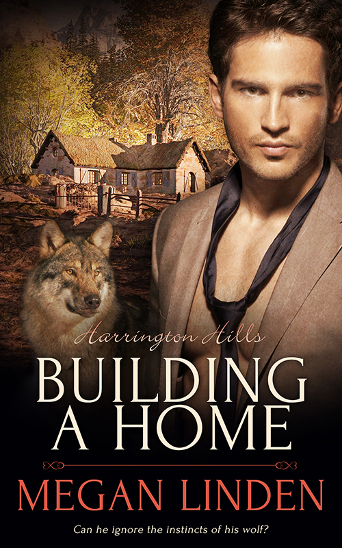 Harrington Hills book cover 2