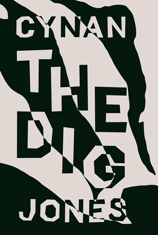 The Dig book cover