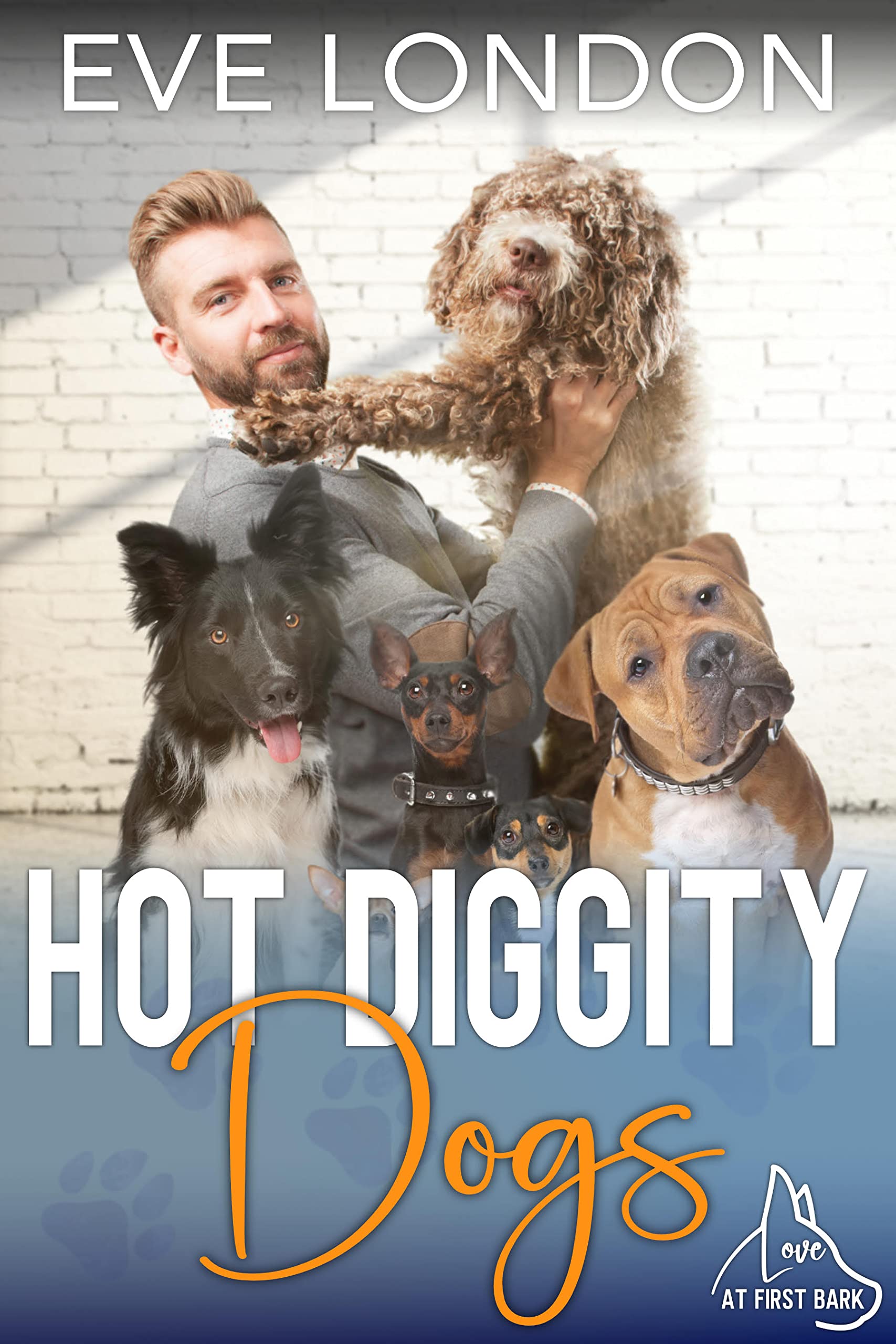 Hot Diggity Dogs book cover