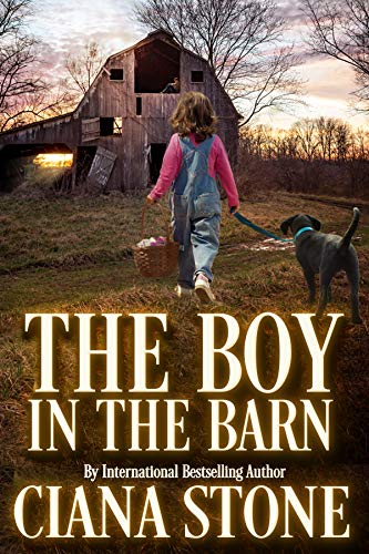 The Boy in the Barn book cover