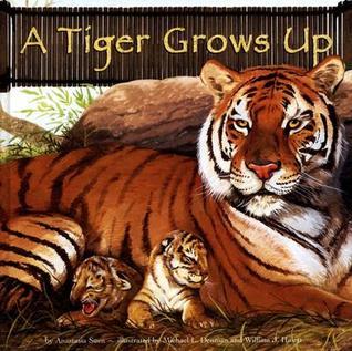 A Tiger Grows Up book cover