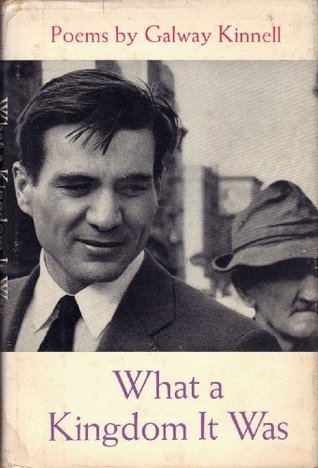 What A Kingdom It Was book cover
