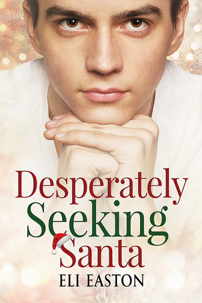 Desperately Seeking Santa book cover