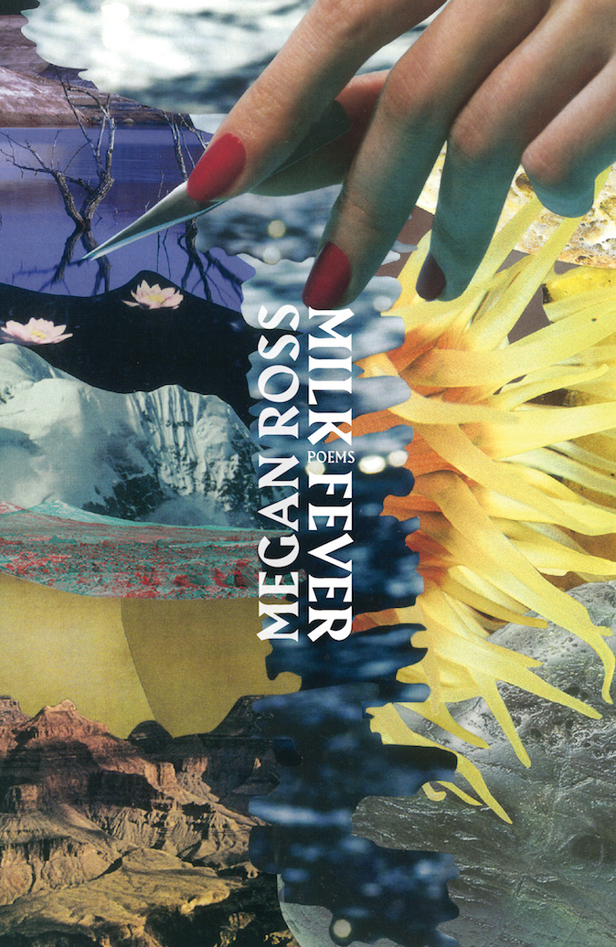 Milk Fever book cover
