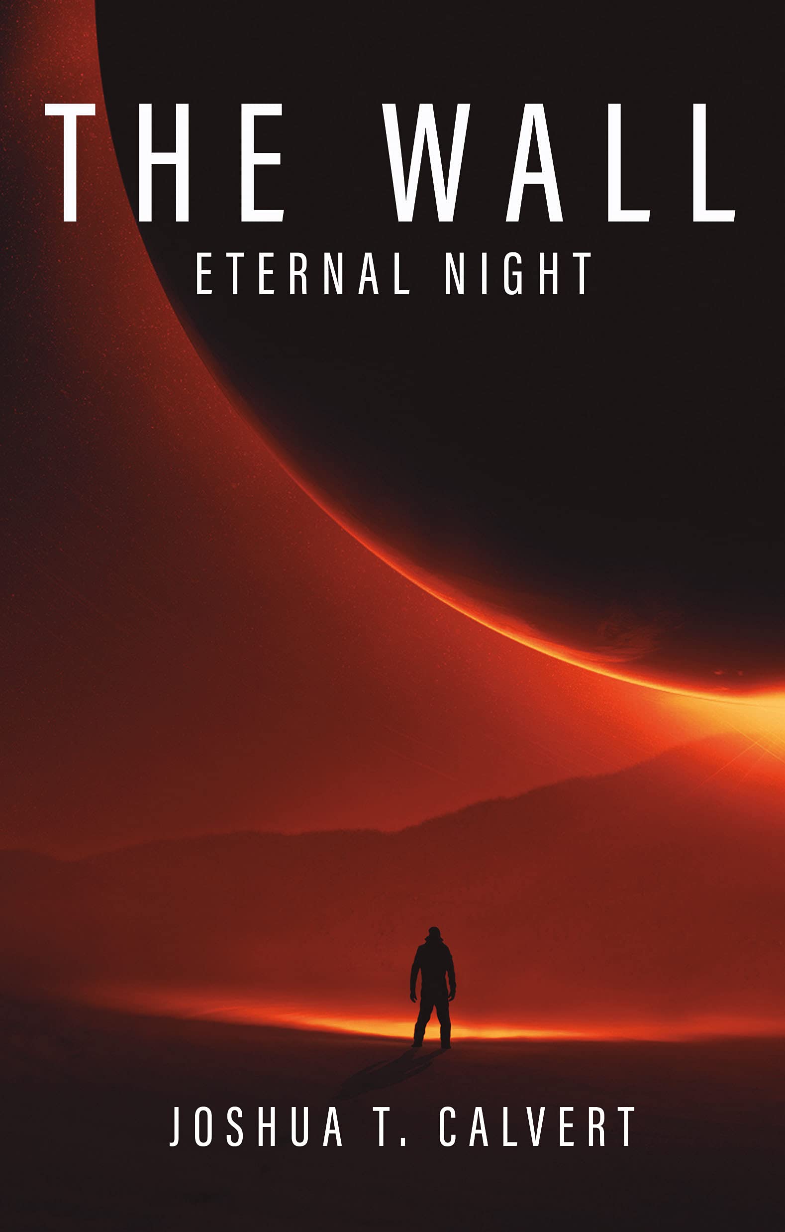 The Wall book cover