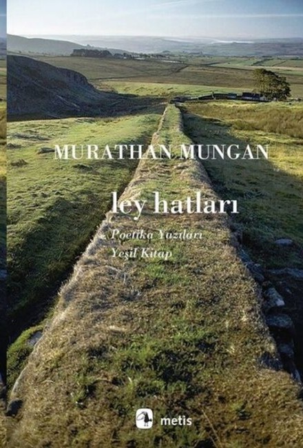 Ley Hatları book cover