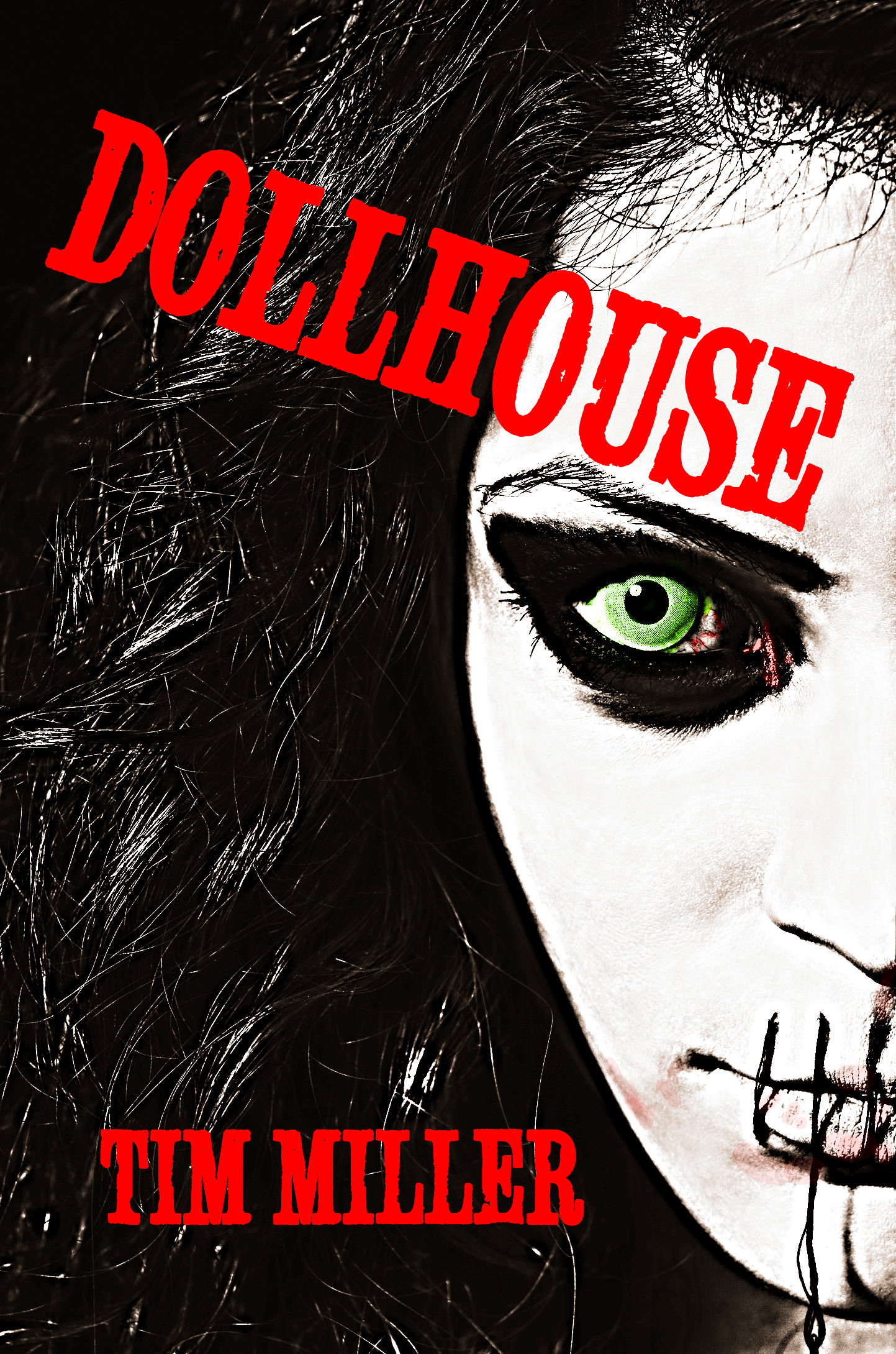 Dollhouse book cover