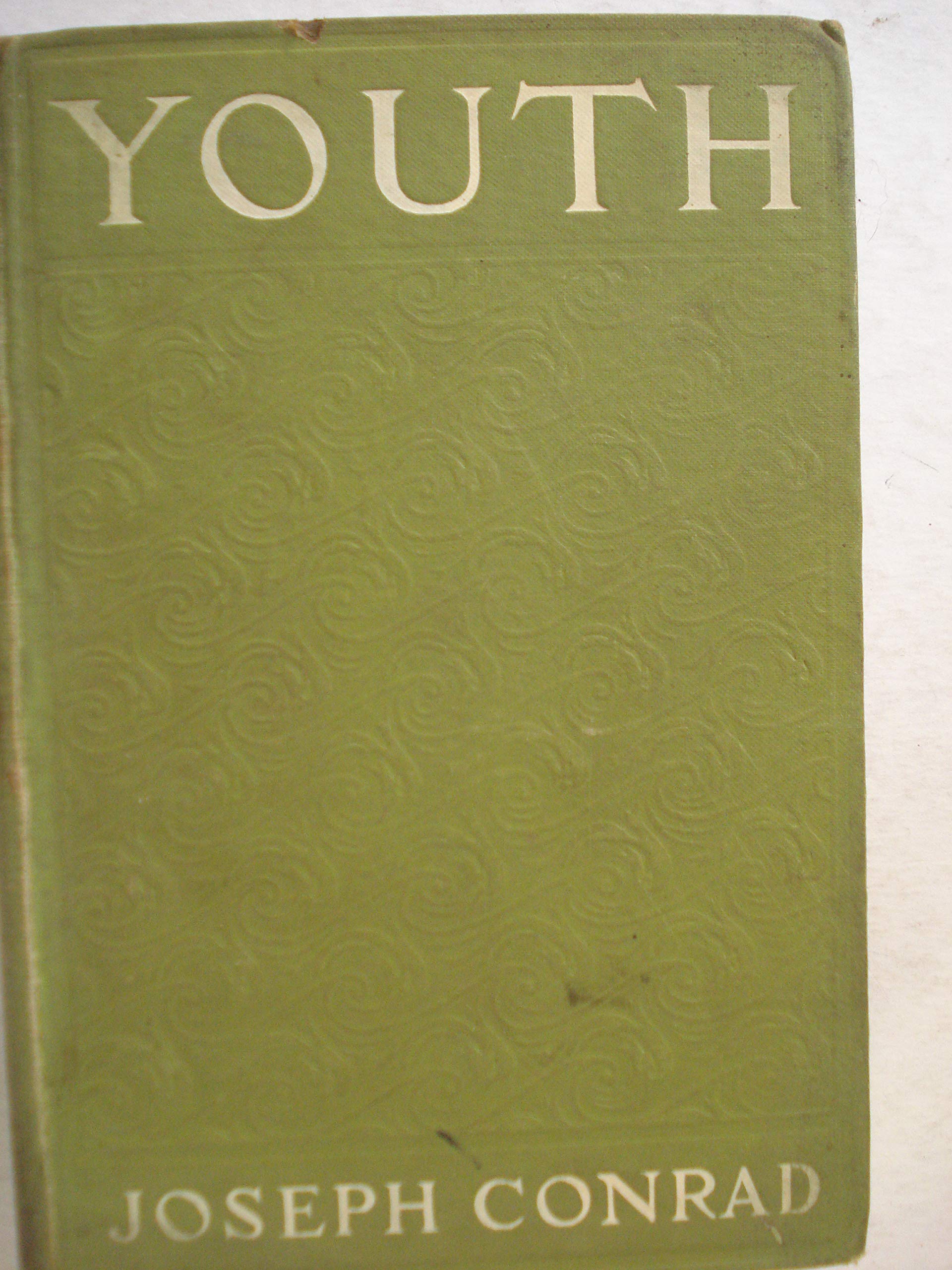 Youth book cover