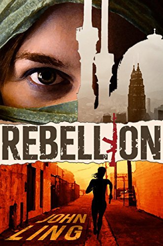 A Raines & Shaw Thriller book cover 3