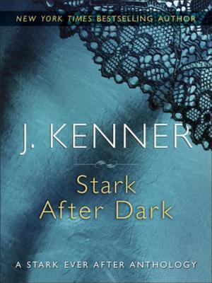 Stark After Dark book cover