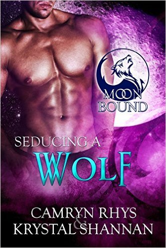 Seducing a Wolf book cover