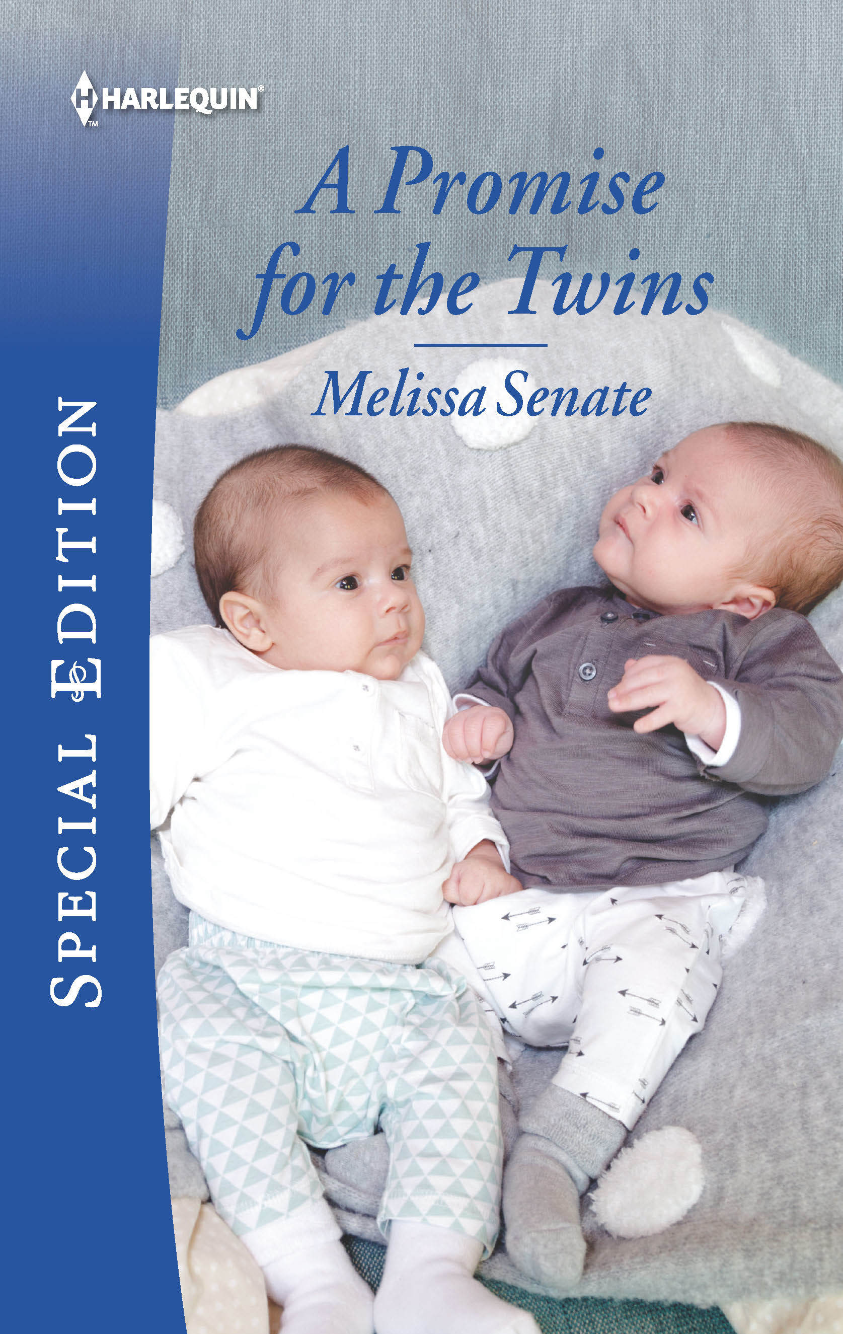 A Promise for the Twins book cover