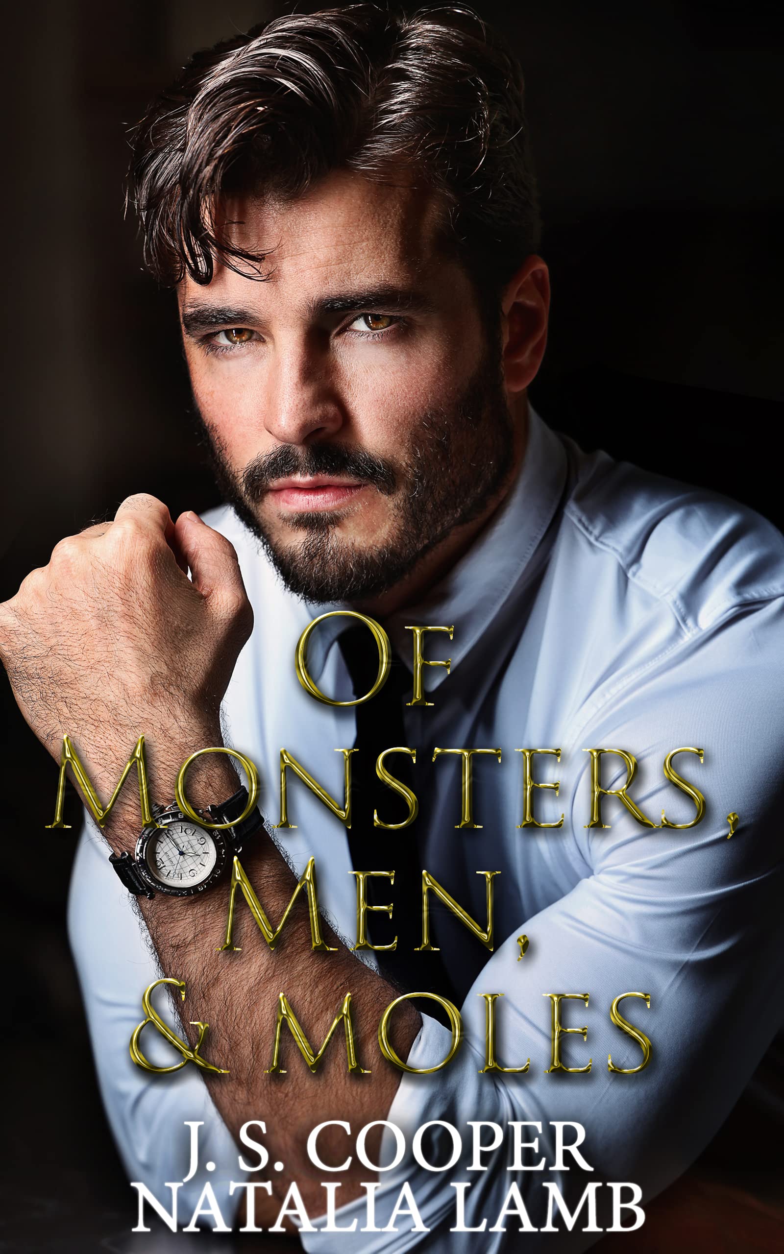 The Marcheshi Family Mafia book cover 1