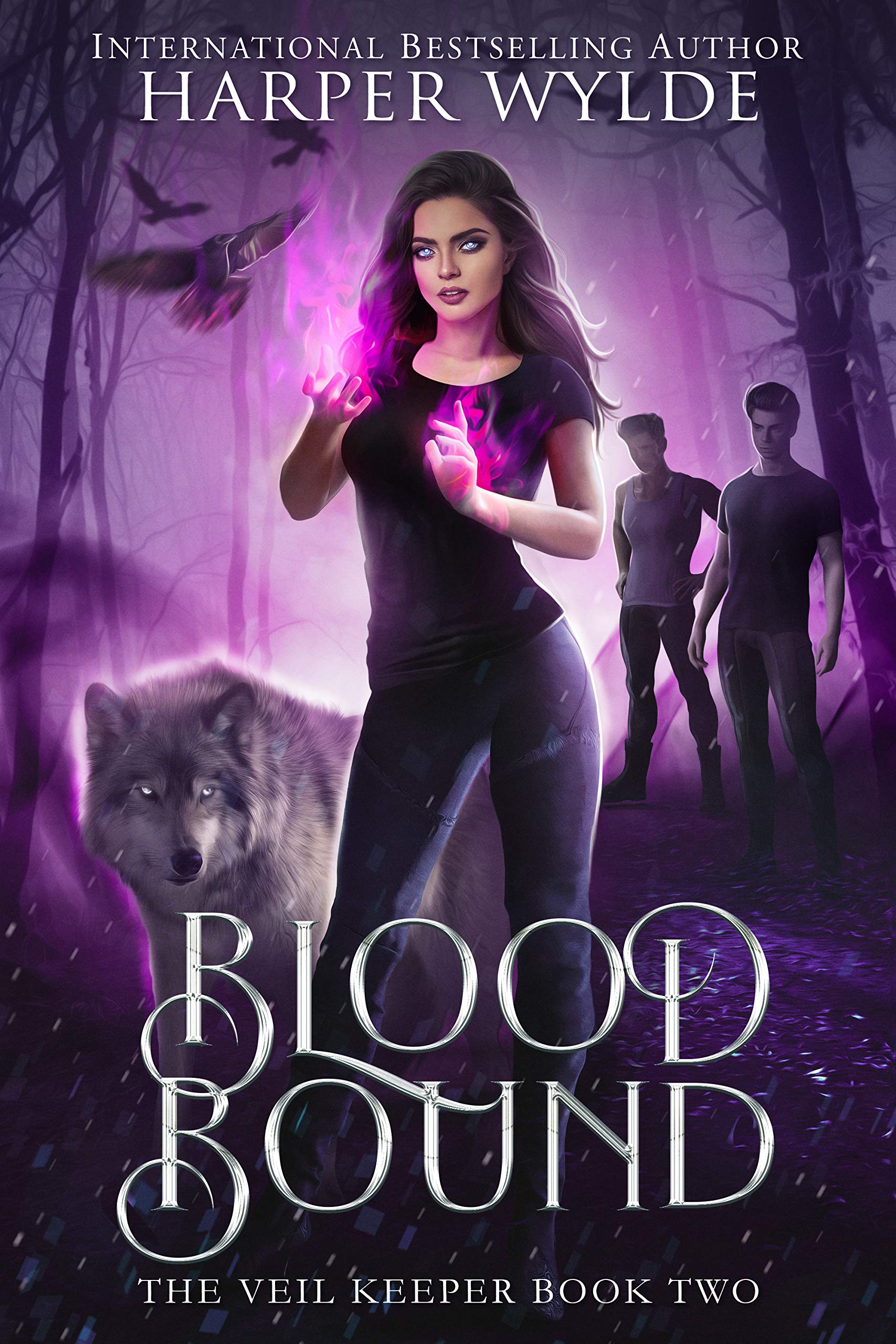 The Veil Keeper book cover 2