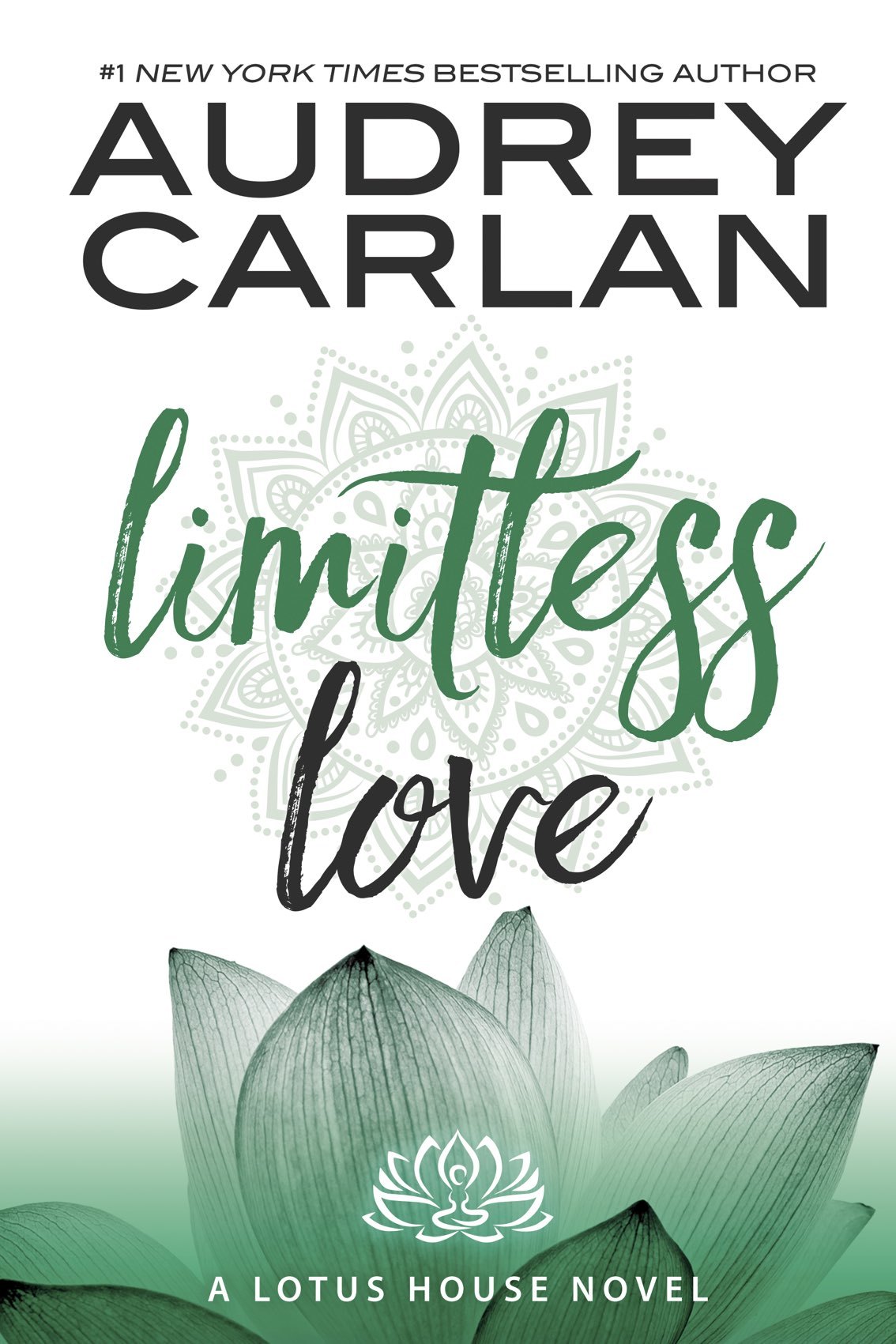 Limitless Love book cover