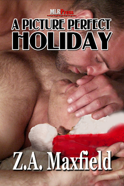 A Picture Perfect Holiday book cover