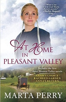 At Home in Pleasant Valley book cover