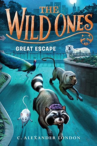 The Wild Ones book cover 3