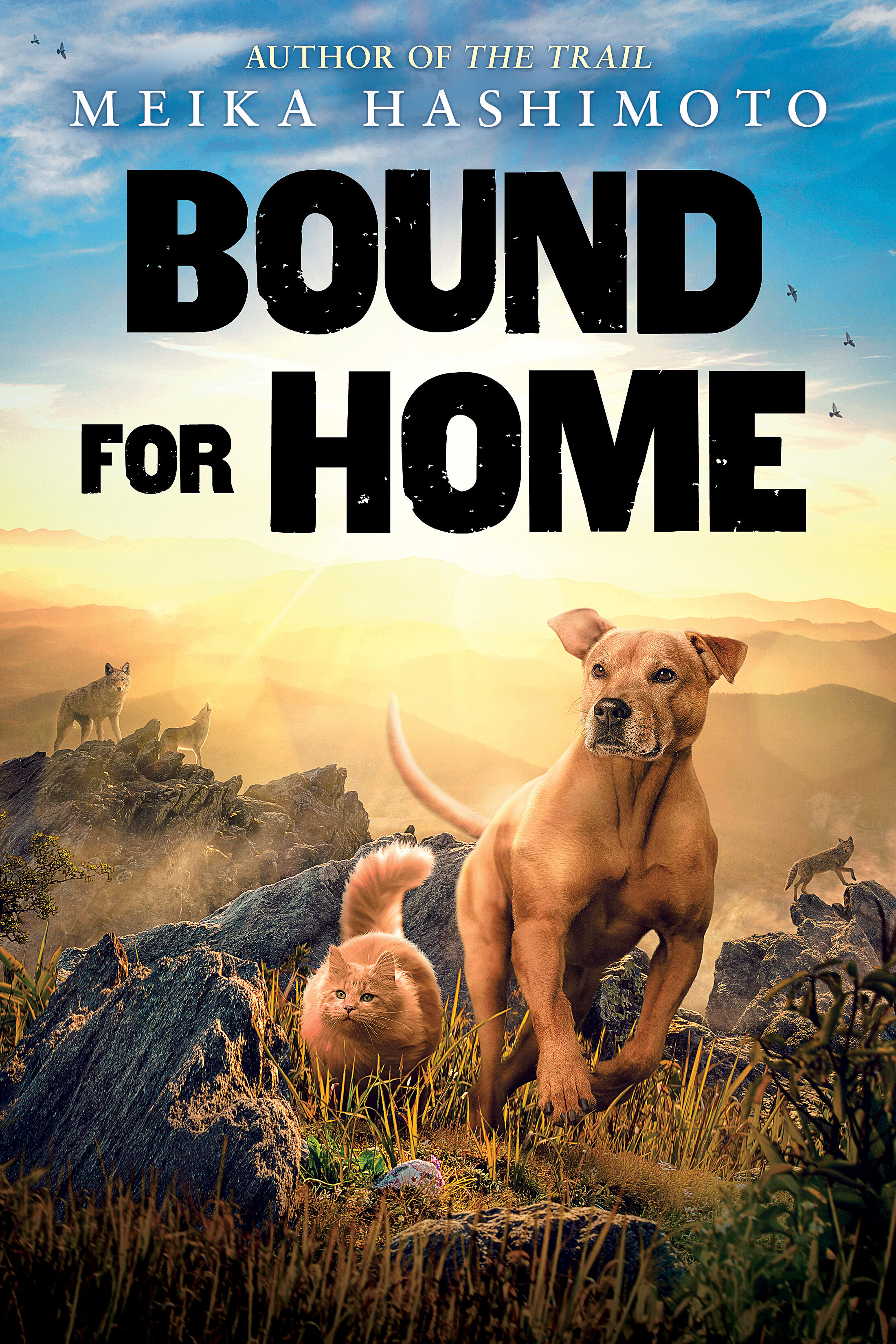 Bound for Home book cover