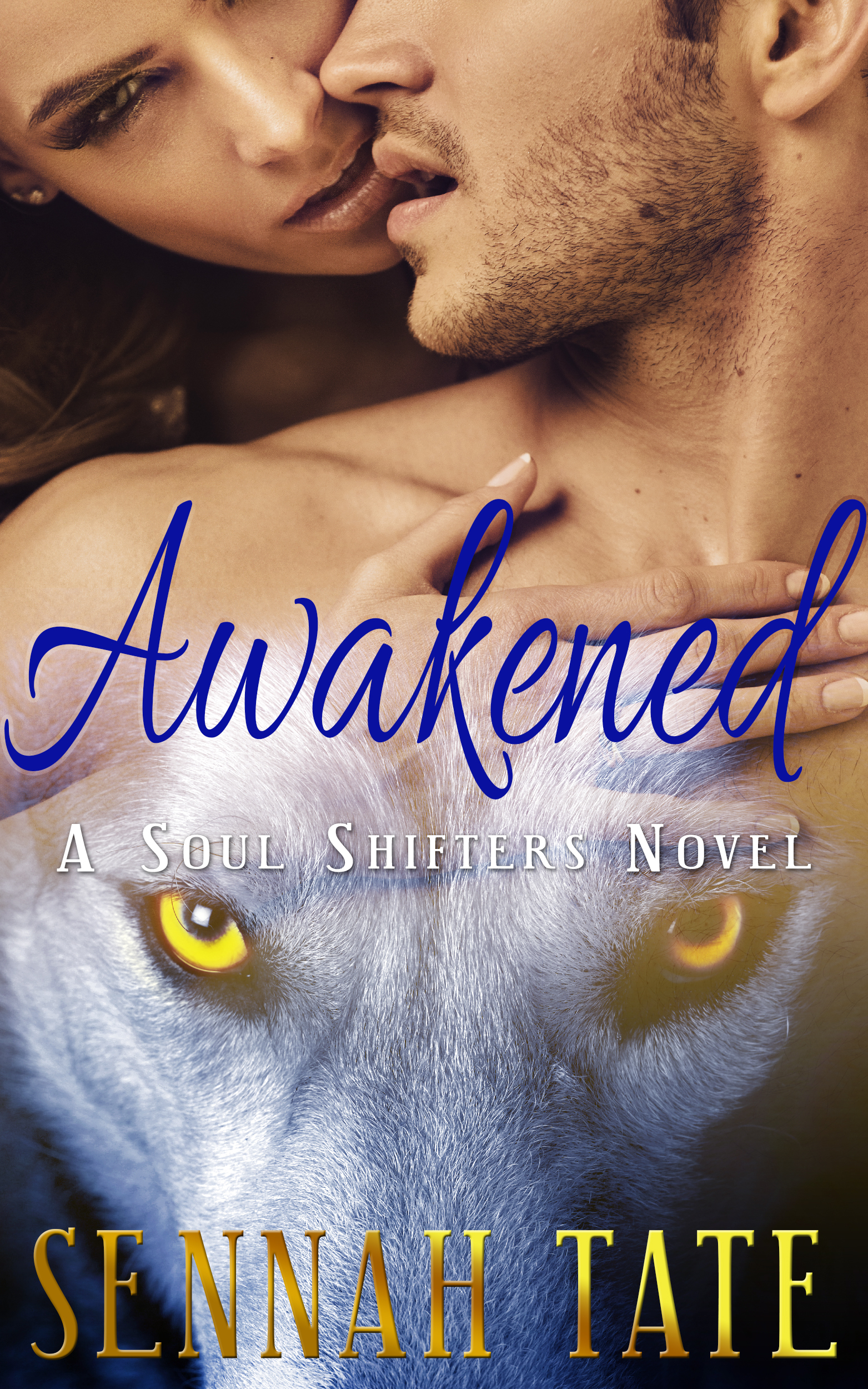 Soul Shifters book cover 1