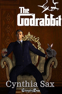 The Godrabbit book cover