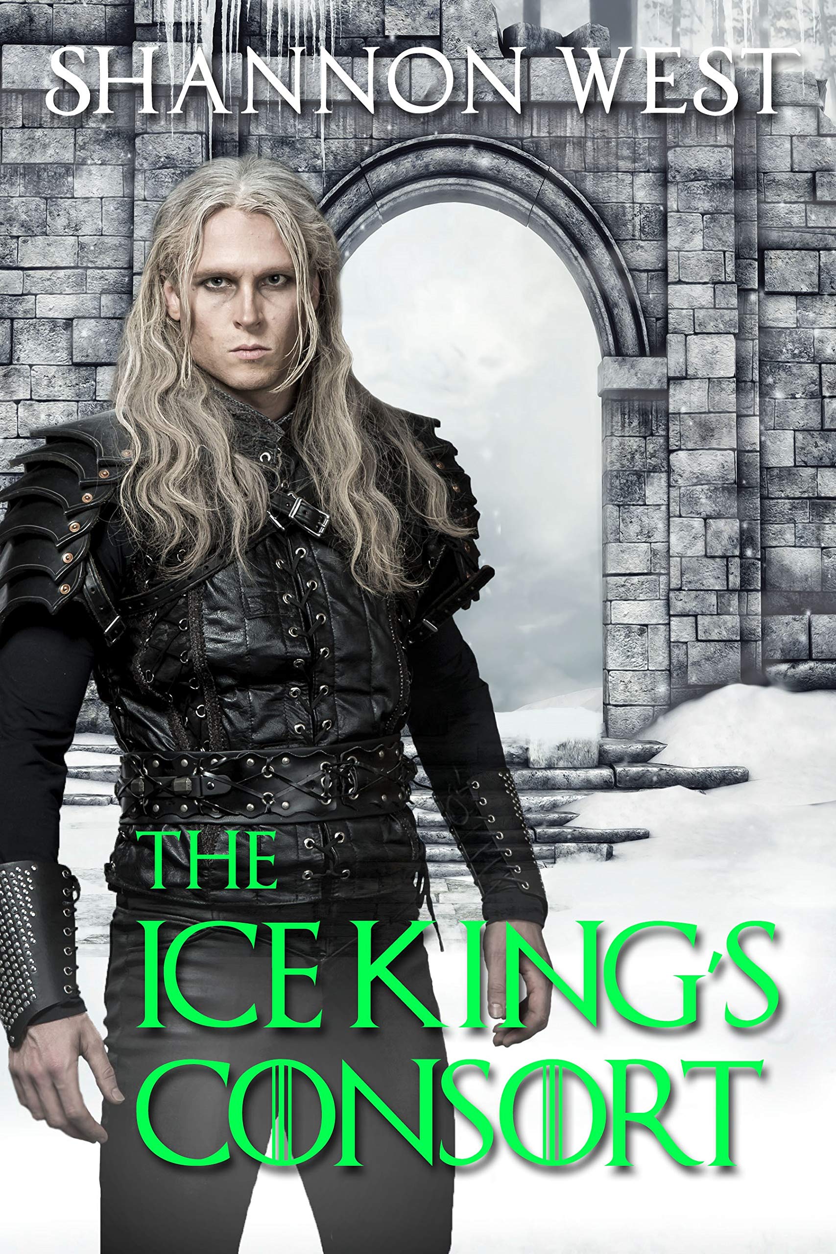 The Ice King Chronicles book cover 1