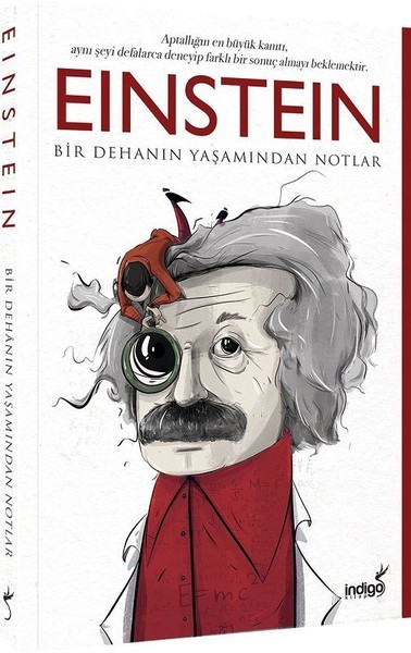 Einstein book cover