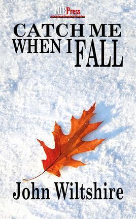 Catch Me When I Fall book cover