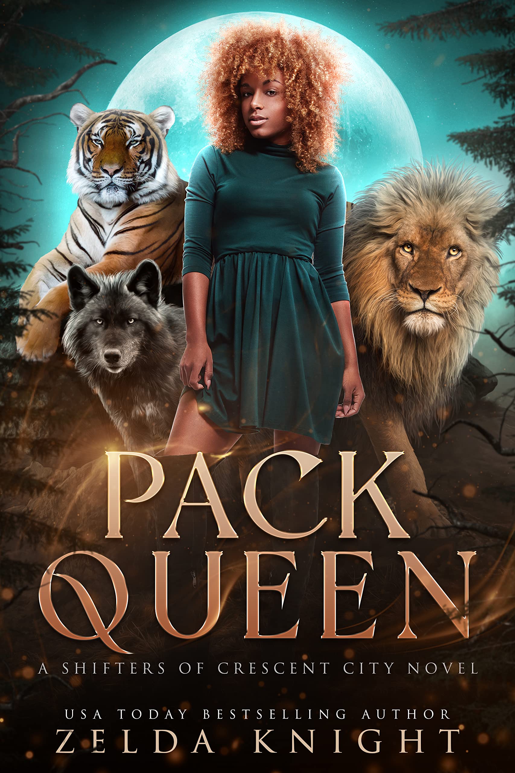 Pack Queen book cover