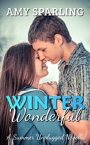 Winter Wonderful book cover