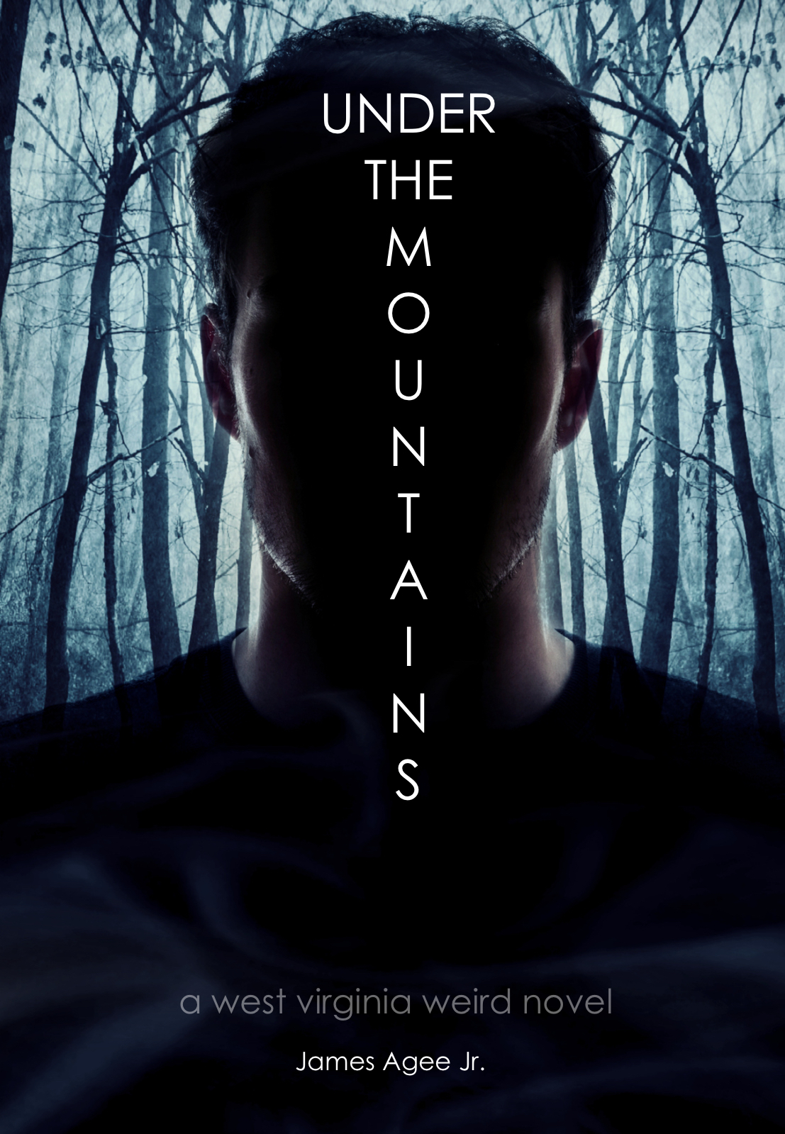 Under the Mountains book cover