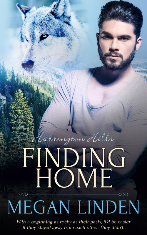 Finding Home book cover