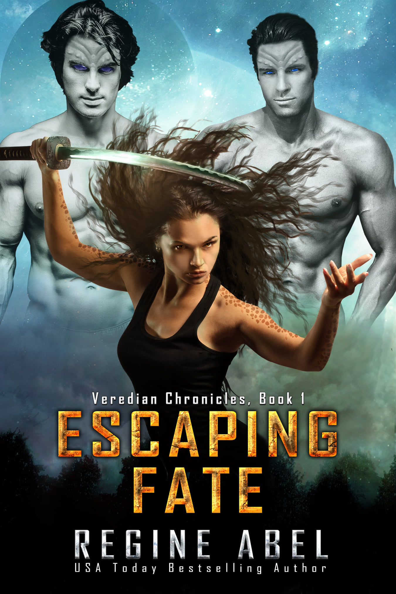 Veredian Chronicles book cover 1