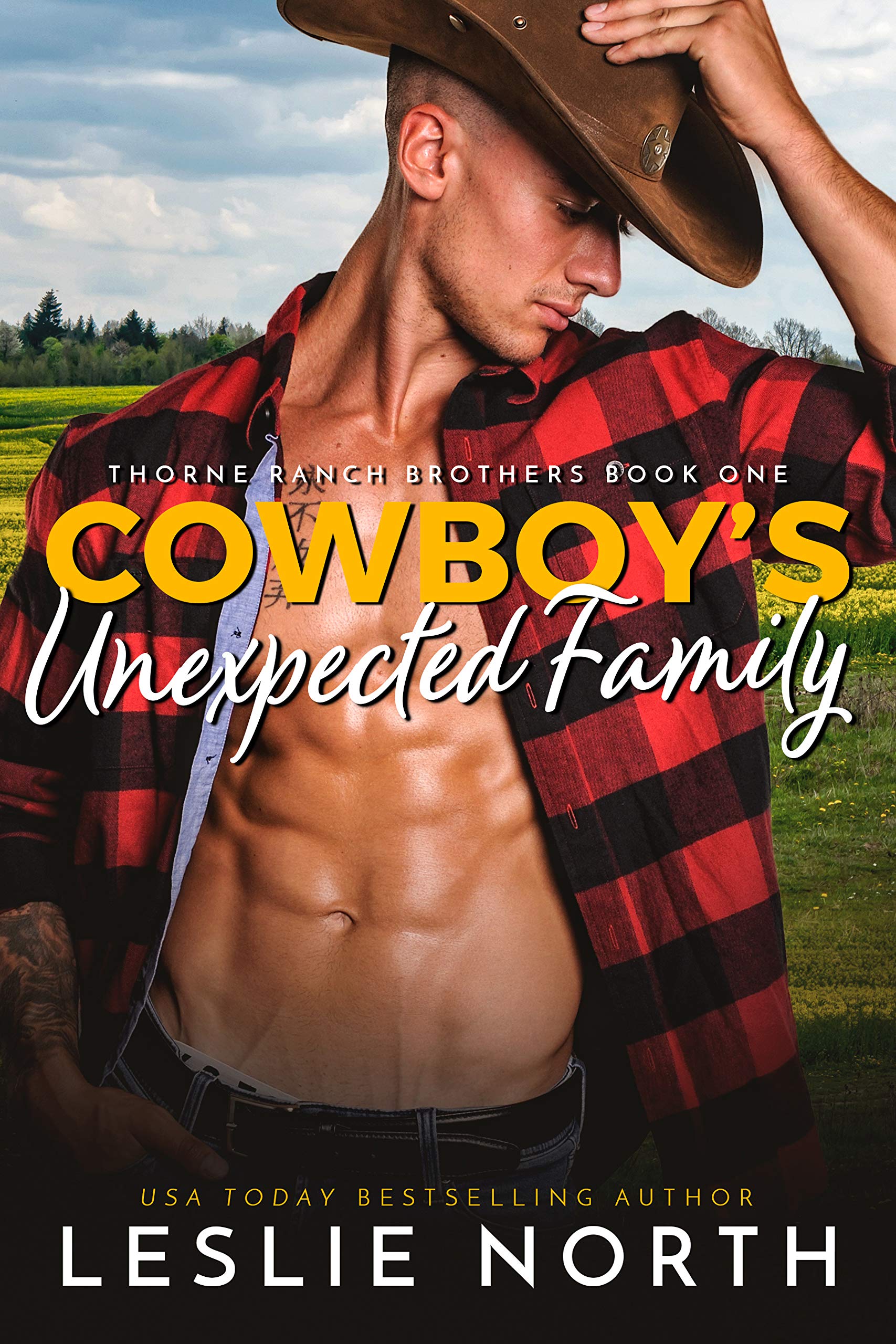 Cowboy's Unexpected Family book cover