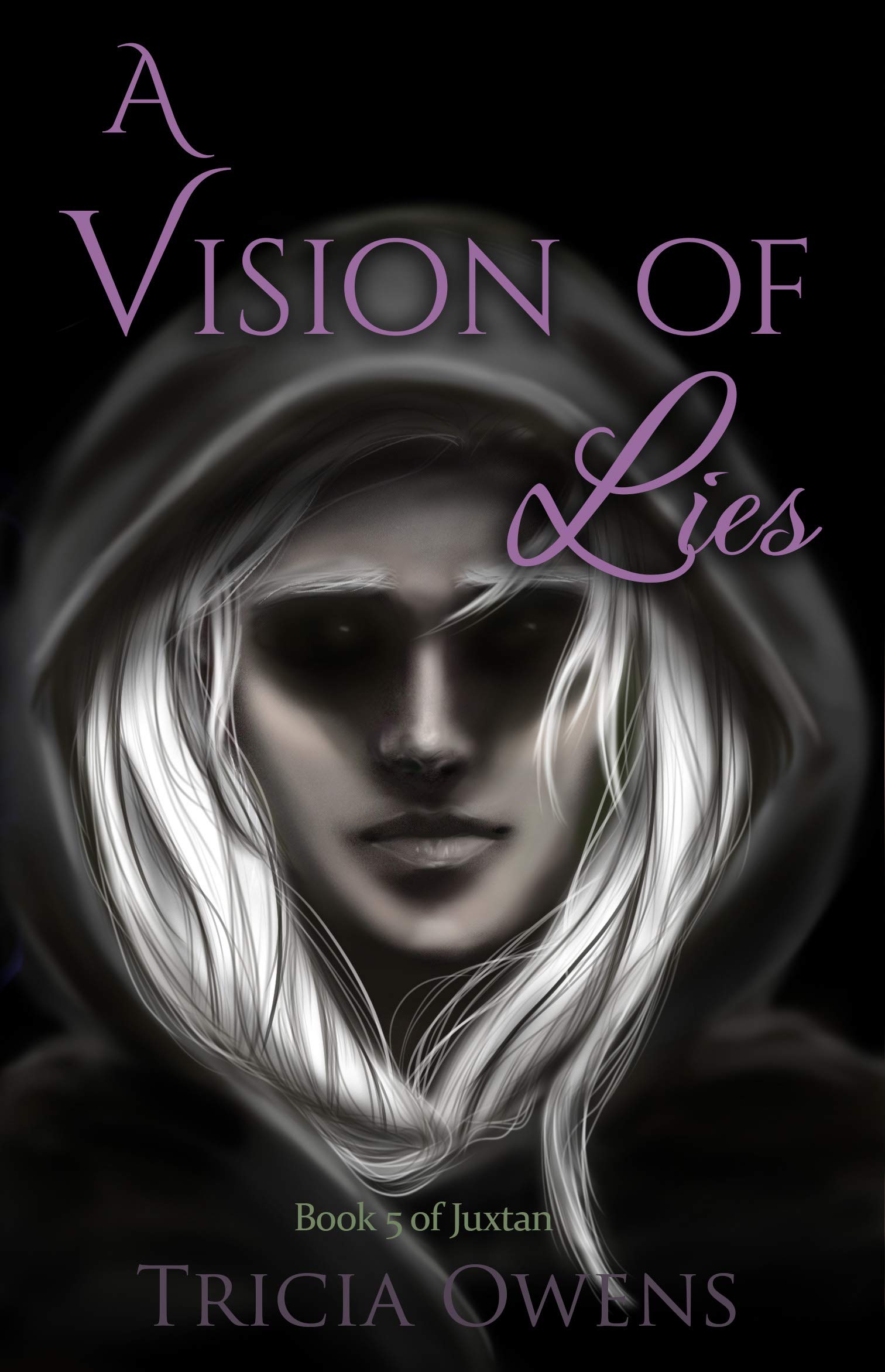 A Vision of Lies book cover