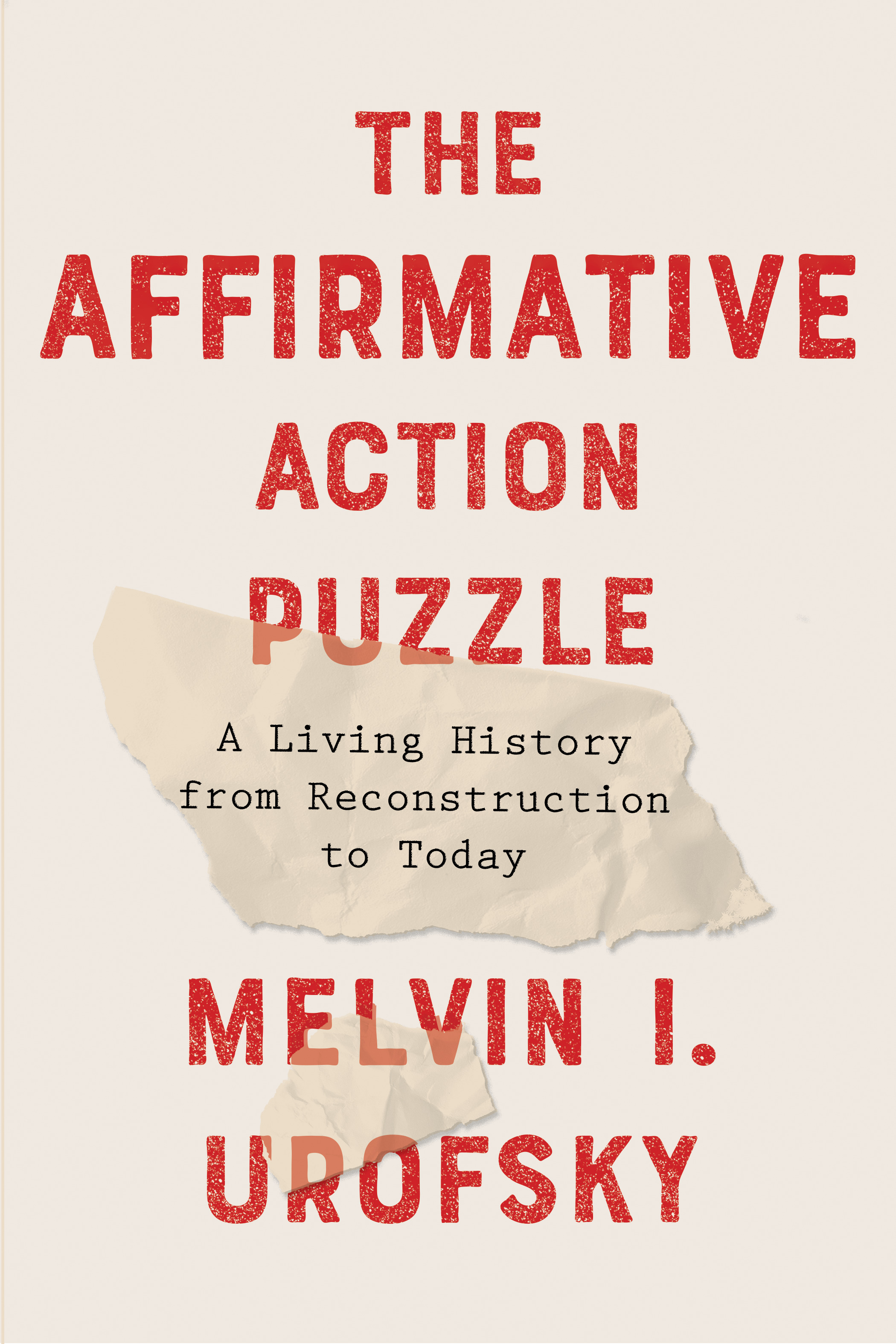 The Affirmative Action Puzzle book cover
