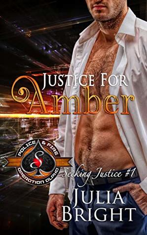 Seeking Justice book cover 1