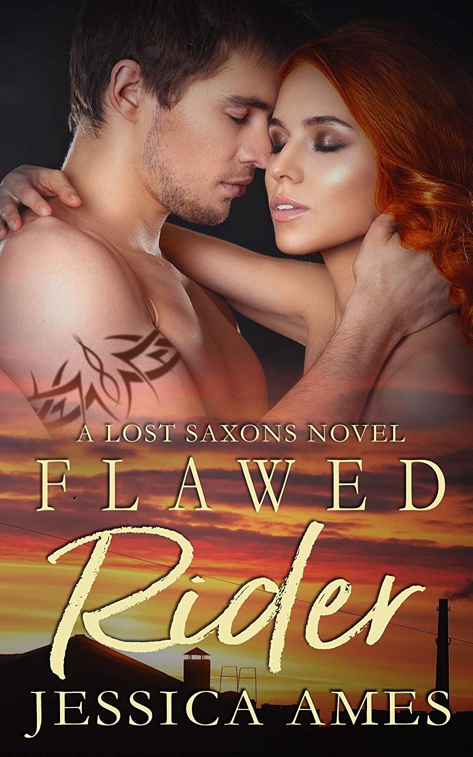 Flawed Rider book cover